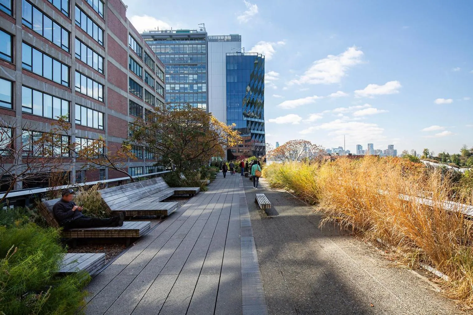 纽约Chelsea 1Br W Doorman Lux Gym Sundeck Nyc-169公寓 公寓 纽约