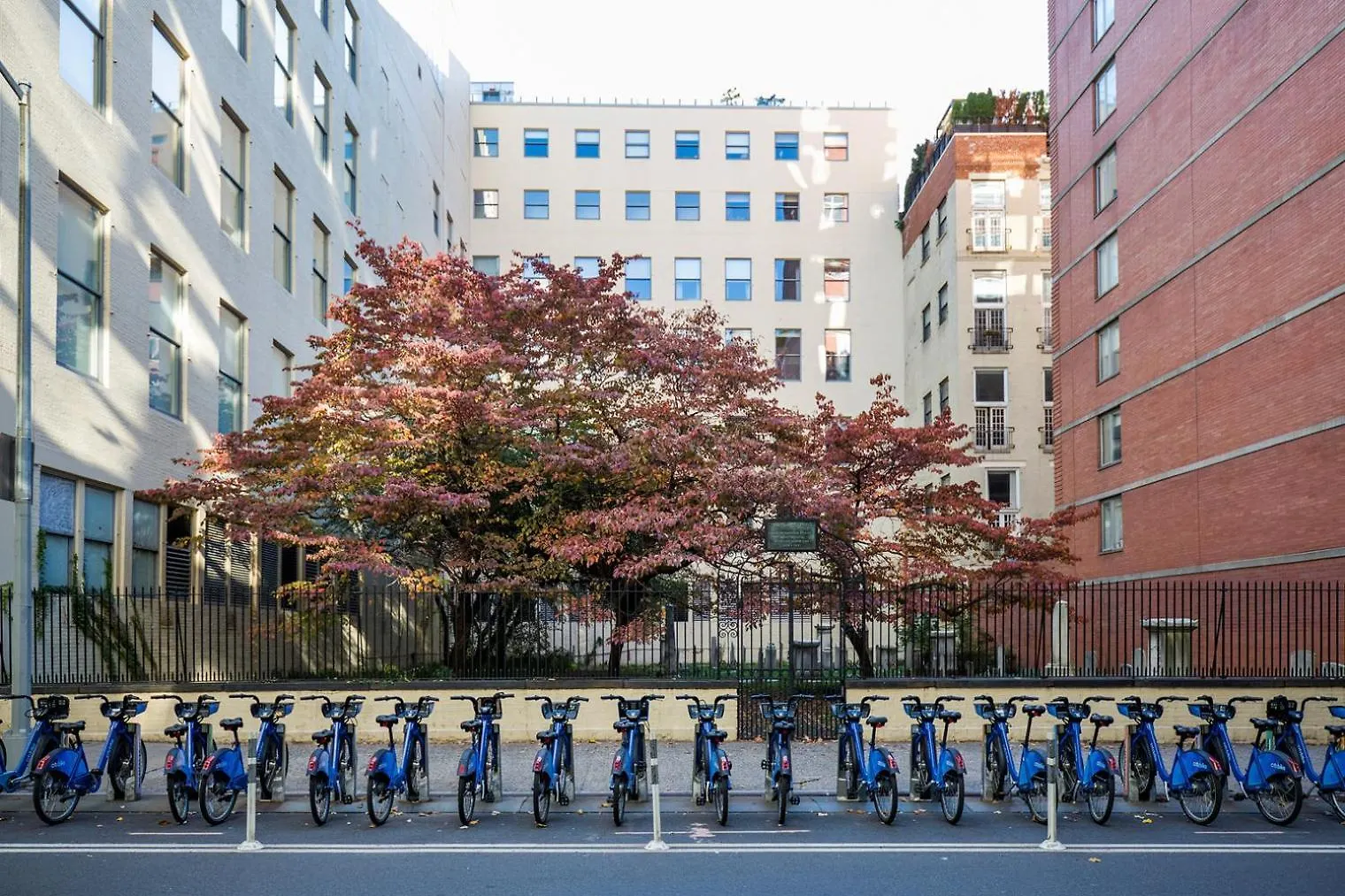 纽约Chelsea 1Br W Doorman Lux Gym Sundeck Nyc-169公寓 公寓